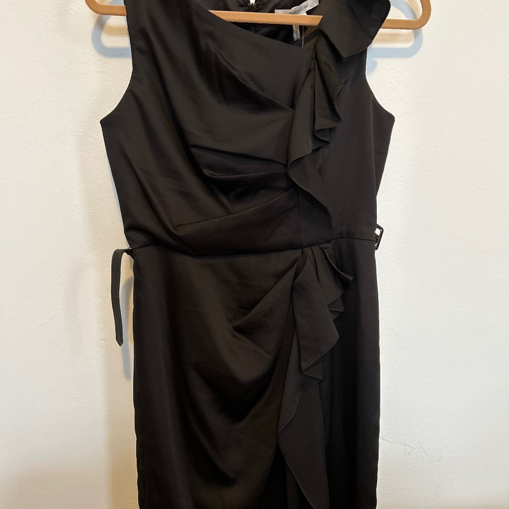 Maxandcleo black dress